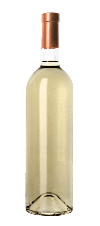 Sauvignon Blanc Wine Bottle